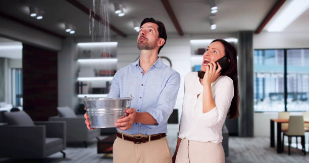 Best Water damage restoration cost  in Dayton, OR